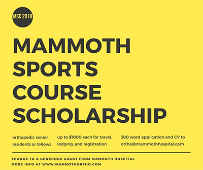 Fellow Sports Course Scholarship - March 2018