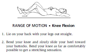 Range Of Motion - Knee Flexion