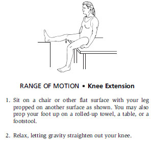 Range Of Motion - Knee Extension