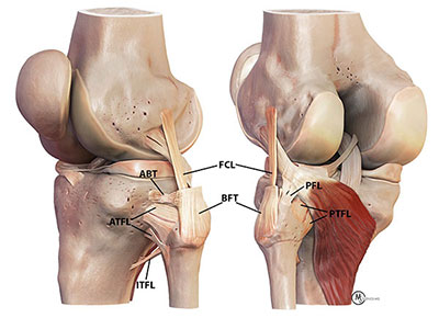 Proximal Tibiofibular Ligament Instability